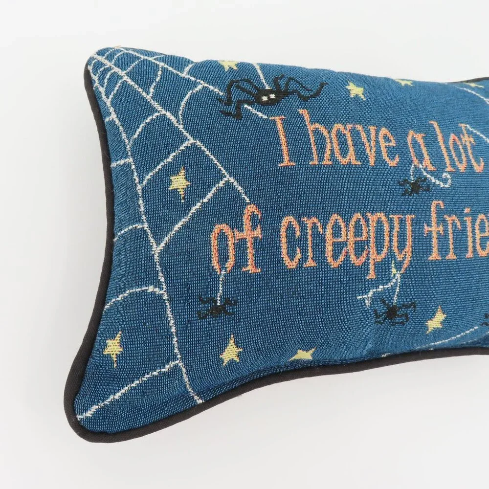 I Have A Lot Of Creepy Friends Cobweb Spider Halloween Spooky Accent Pillow